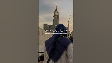 وكلهم آتيه يوم القيامة فردا 🌿القران الكريم ❤️‍🩹 بصوت عبدالرحمن مسعد 🎧