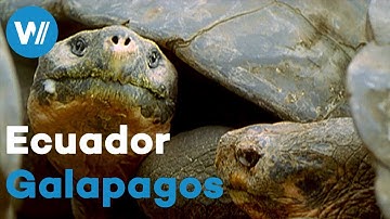 The natural laboratory of evolution in Galápagos Islands, Ecuador | Treasures of the World