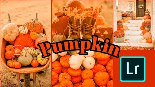 Pumpkin Preset | Free Lightroom mobile cc tutorial| REYNPRESET screenshot 4