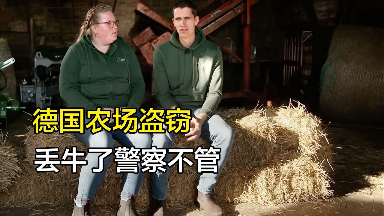 德国农村盗窃案，牛羊农机频繁被盗，盗窃比例逐渐翻倍