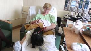 Rush Pet Visitation Policy