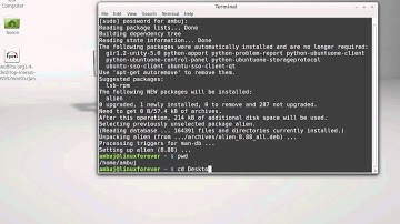 Convert RPM to DEB ( debian) package in Linux Mint 13/14 (Ubuntu) using Alien