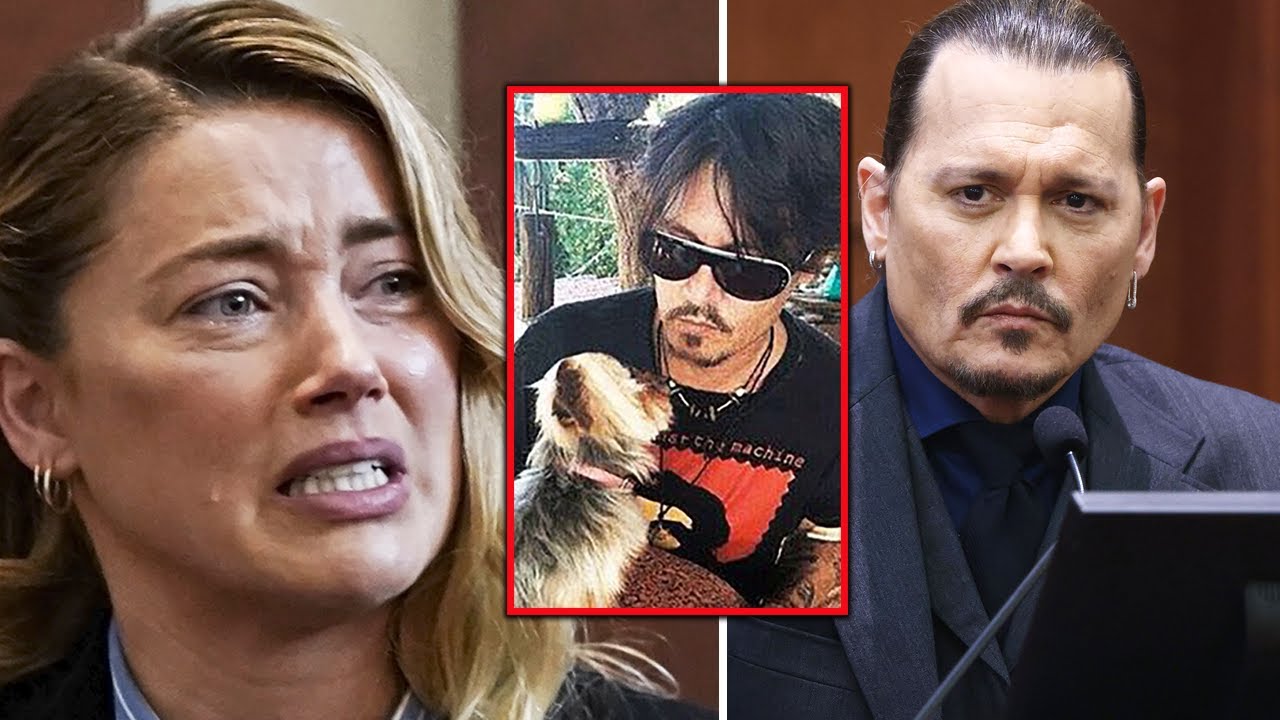 Amber Heard Claims Johnny Depp Dangled Dog Outside A Car