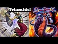 Triamids with Gorgonic Guardian! New Rock Xyzs adds much more depth [Yu-Gi-Oh! Duel Links]