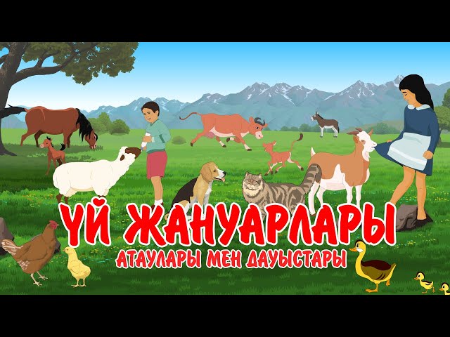 Ариэль үй жануарларының жыныстық қатынасы