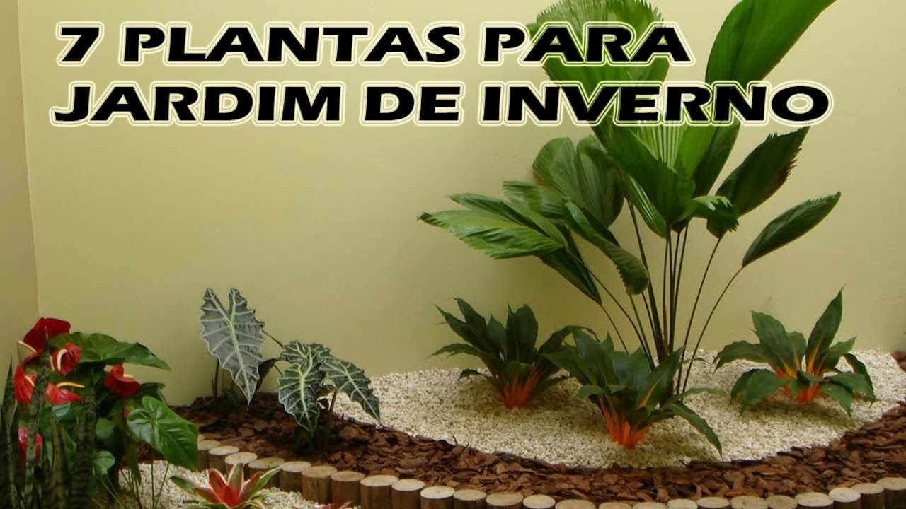 7 PLANTAS PARA JARDIM DE INVERNO - CUIDADOS IMPORTANTES - thptnganamst.edu.vn