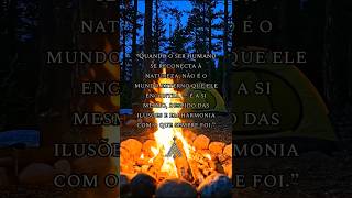 J.A - Frases. #curte #top #tempo #frases #natureza #universo #vida #viver #amor #cuidar #aproveitar