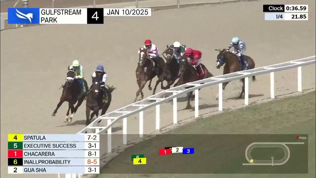 Gulfstream Park Carrera 4 10 de Enero 2025 YouTube