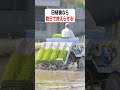 田植機 1年で数日しか使わないのになぜ買うの？ #shorts
