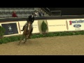 45 charlotte jacobs maclay finals final work off