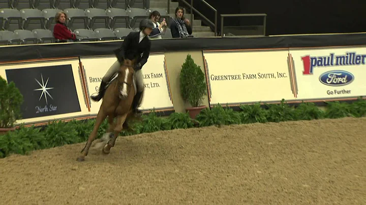 45 Charlotte Jacobs, Maclay Finals Final Work Off