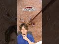 【毛穴の黒ずみ最終形態】にゅるにゅる出てくる角栓除去!#shorts