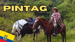 PINTAGRancho El Ensueñopara sacar el estrés nada mejor que una ruta a caballo. #viajesporelmundo