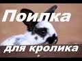 Поилка для кролика. Какую поилку лучше выбрать для кроликов. Кролиководство.