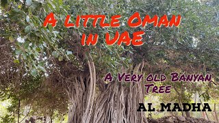 AL MADHA II A Little Oman in UAE II Banyan tree II Syed ALI