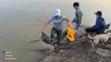 câu cá rô phi sông hồng quấn ổ cháy nách