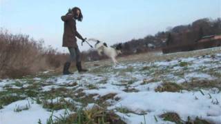 Lilu - Aport, Vaulty I Szarpanie