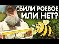 УДЕРЖИМ ли пчёл ОТ РОЕНИЯ сборными отводками на плодную матку? [2/3]