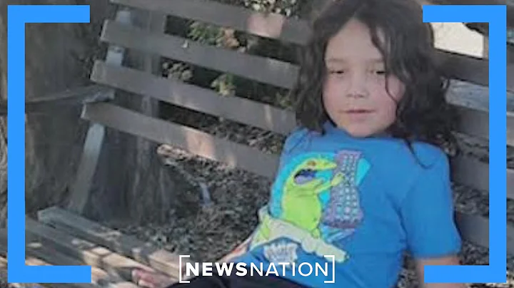 Missing: 4-year-old Lucian Munguia vanished from Washington playground  | Rush Hour