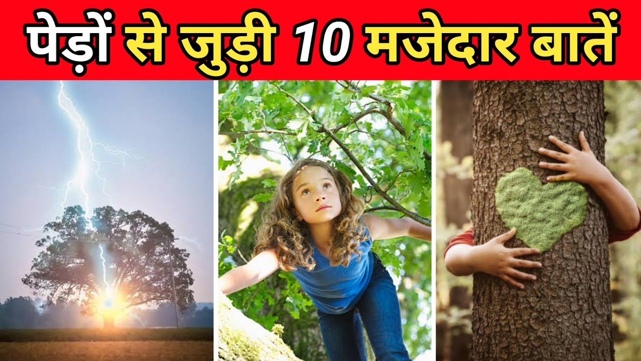पेड़ों से जुड़े 10 रोचक तथ्य | 10 Amazing Facts About Trees | Facts About Earth | Facts | 