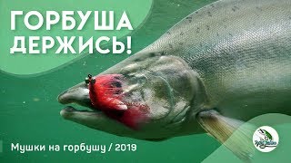 видео: Горбуша. На что ловить горбушу. Вяжем мушку для ловли горбуши. Река Умба Терский берег Кольский п-ов картинка: Горбуша. На что ловить горбушу. Вяжем мушку для ловли горбуши. Река Умба Терский берег Кольский п-ов