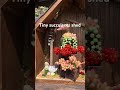 Abandoned shed turned succulents garden. #clayart #succulent #claysucculents #handmade #miniature