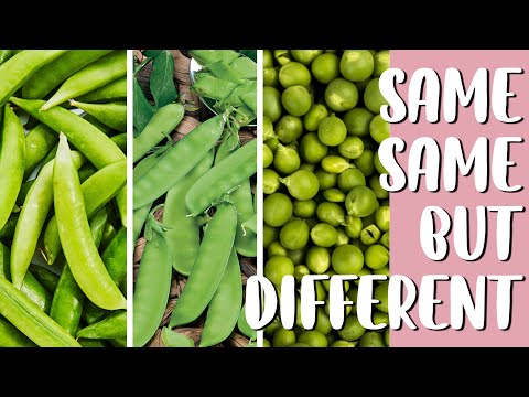 What&rsquo;s the difference between english pea, snow pea and sugar snap pea | Same Same But Different Ep1