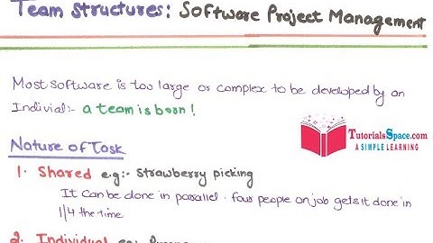 26- Team Structure In Software Project Management In Software Engineering In HINDI | Team Structure