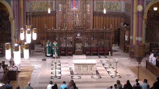 12 de Julio de 2026-- Decimoquinto Domingo Ordinario (#A705907)