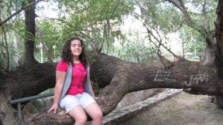 República Argentina - Córdoba - Valle de Punilla - Año 2011
