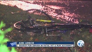 Search for driver in fatal hit and run