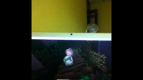 Minecraft 1.3.1 update review part 2