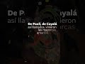🌽 Vinieron las mazorcas amarillas y las mazorcas blancas...