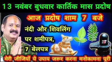 13 नवंबर कार्तिक मास प्रदोष के 7 विशेष उपाय🚩Pradeep Mishra Ji Ke Upay  #pradosh #प्रदोष