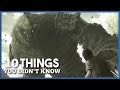 10 Things You Didn't Know About Shadow Of The Colossus