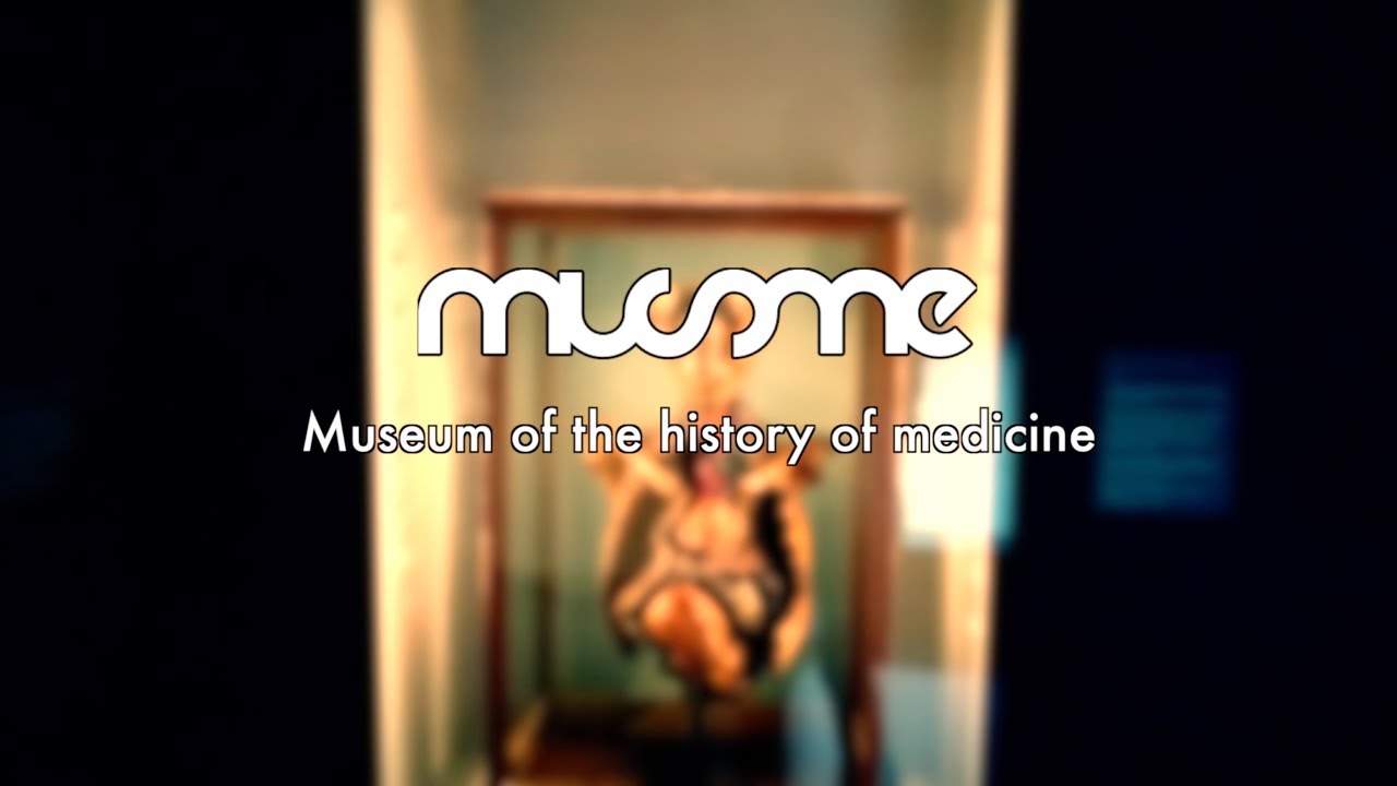 MUSME: discovering the history of medicine with 3D-mapping and interactive stations
