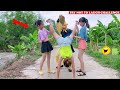 Try Not To Laugh 🤣 New Funny Videos 2020 - Episode 70 | Sun Wukong