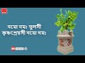 তুলসী কৃষ্ণ প্রেয়সী নমঃ নমঃ তুলসী আরতি || Hindu Dhormio Music Mp3 Song