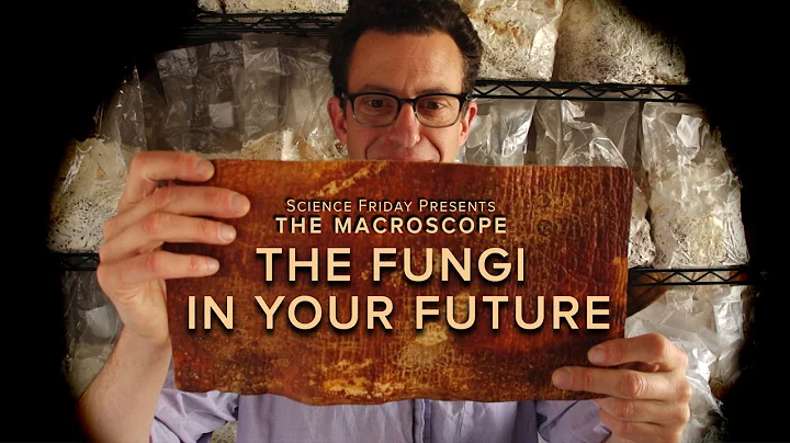 The Fungi in Your Future