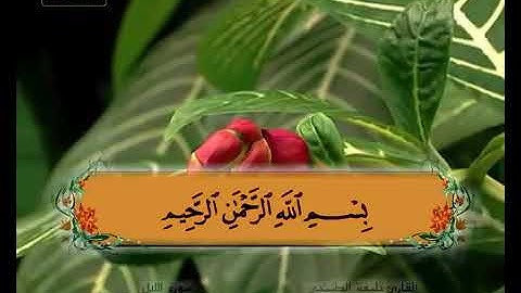🌿   سورة   الليل🌴     ቁርአንን እንዴት እንሀፍዝ በምየምር ድምፅ ለመሀፋዝ ምቹ በሆና መልኩ የቀራበ