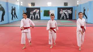 KATA PAR EQUIPE TEKI SHODAN