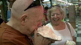 Shell World - Musical Artist