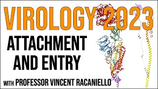 Virology Lectures 2023 #5: Attachment and Entry