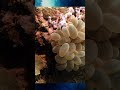 Sea Scape