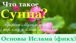 Основы Ислама
