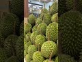 #fruit #shortvideo #durian