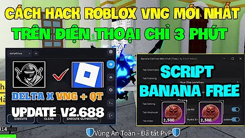 Cách Hack Roblox VNG Blox Fruit Trên Đt, Ios Và Pc - Update Delta x VNG Và Script Auto Cày Oni Token