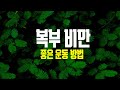 복부 비만에 좋은 운동 방법