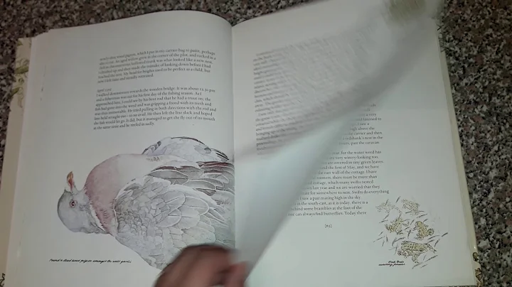 Janet Marsh's  nature diary flip through