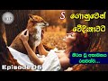 Inorganic Chemistry #6 - &quot;Nari Bana - නරිබෑණා&quot; - Student Help